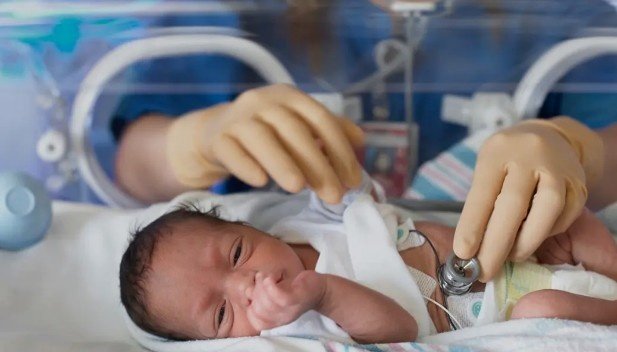 What are the common health issues treated by a Neonatologist in Greater Noida?